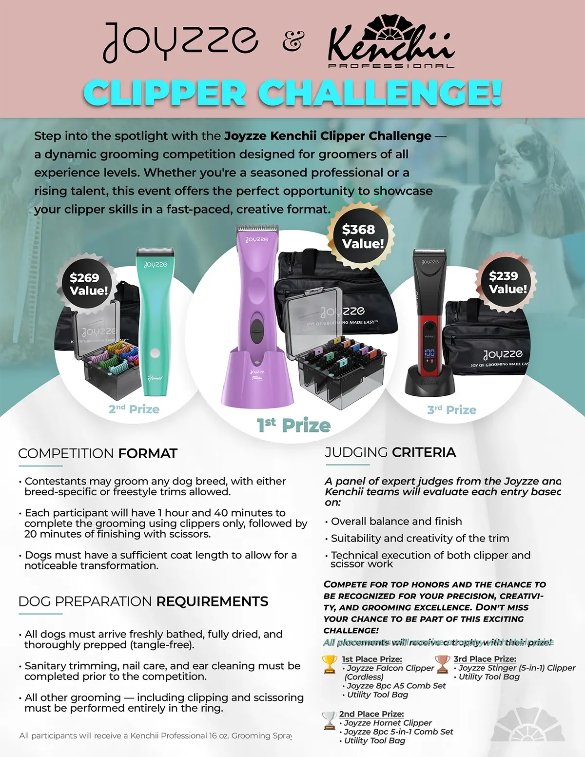 Clipper Challenge Winner