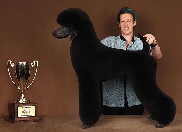 2024 Best In Show Winner