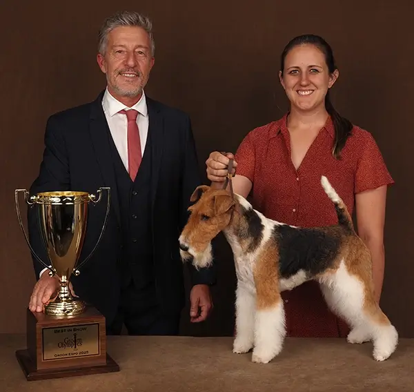2025 Best In Show Winner at Groom Expo